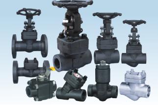 Forged Steel Flanged Gate Valve